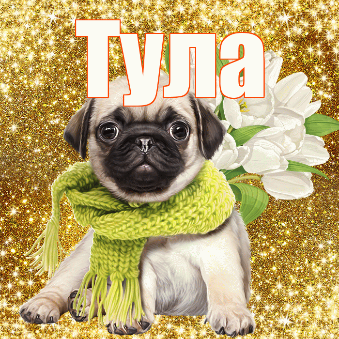 Тула! С днем бухгалтера! Красивая открытка Туле!