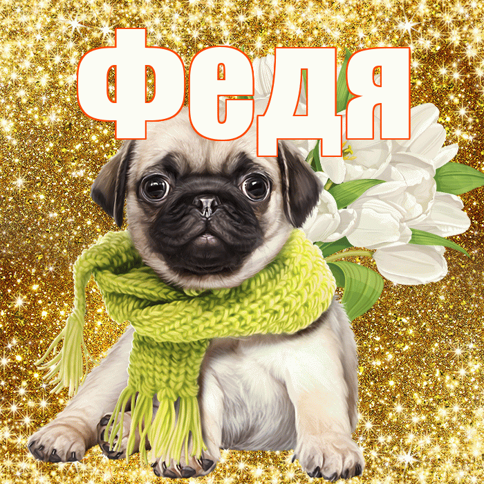 Федя! С днем бухгалтера! Красивая открытка Феде!