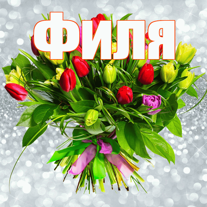 Филя! С днем бухгалтера! Красивая открытка Филе!