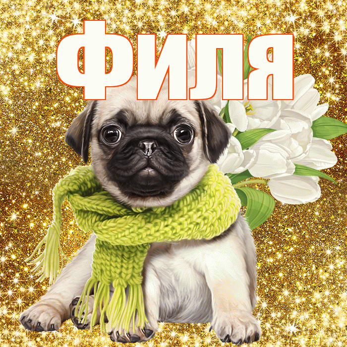 Филя! С днем бухгалтера! Красивая открытка Филе!