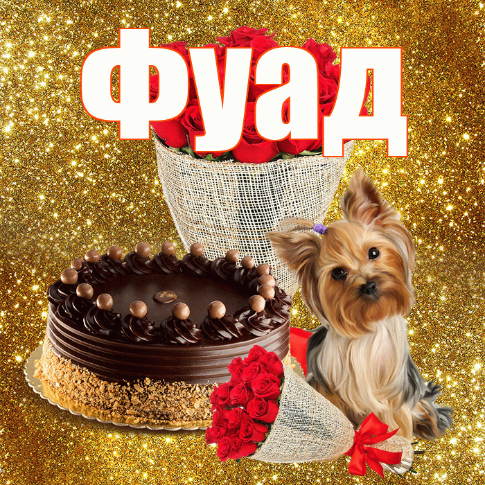 Фуад! С днем бухгалтера! Красивая открытка Фуаду!