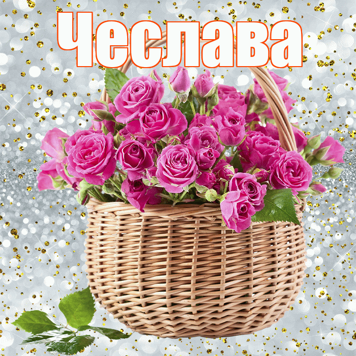 Чеслава! С днем бухгалтера! Красивая открытка Чеславовне!