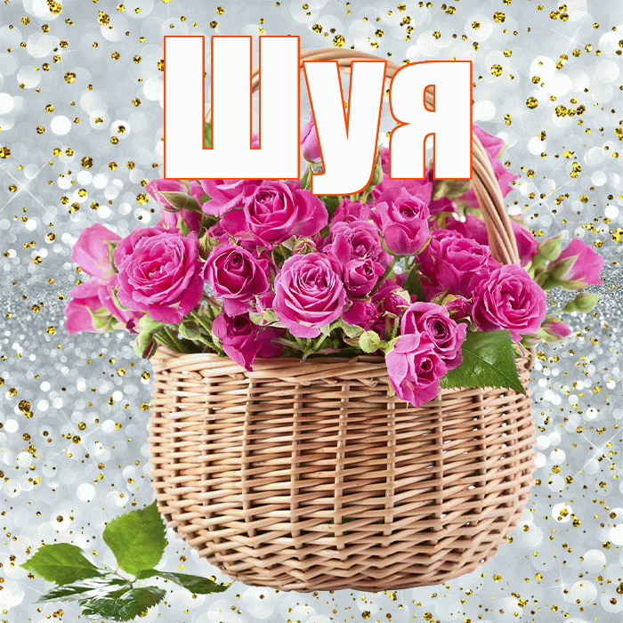 Шуя! С днем бухгалтера! Красивая открытка Шуи!