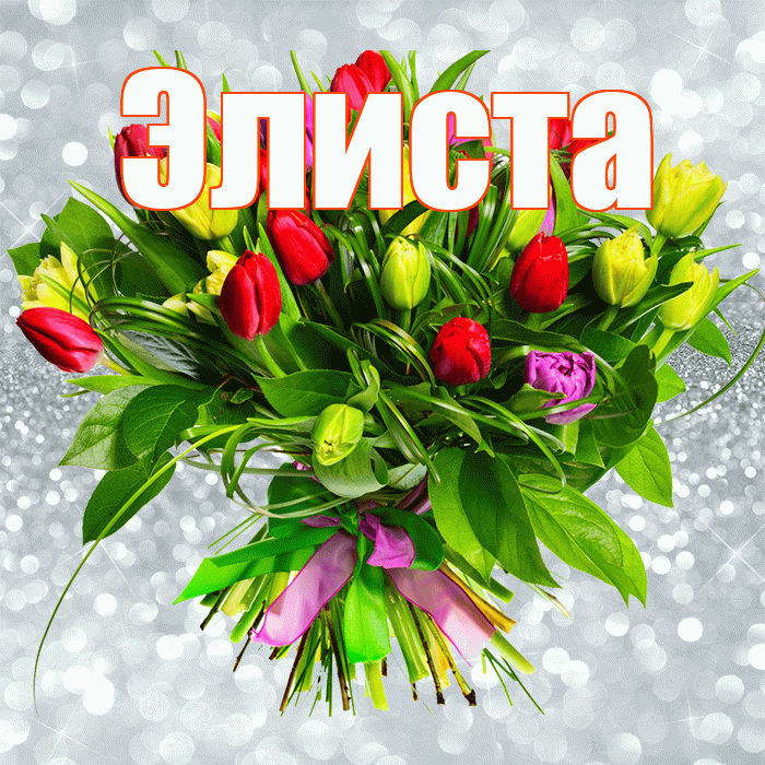 Элиста! С днем бухгалтера! Красивая открытка Элисте!