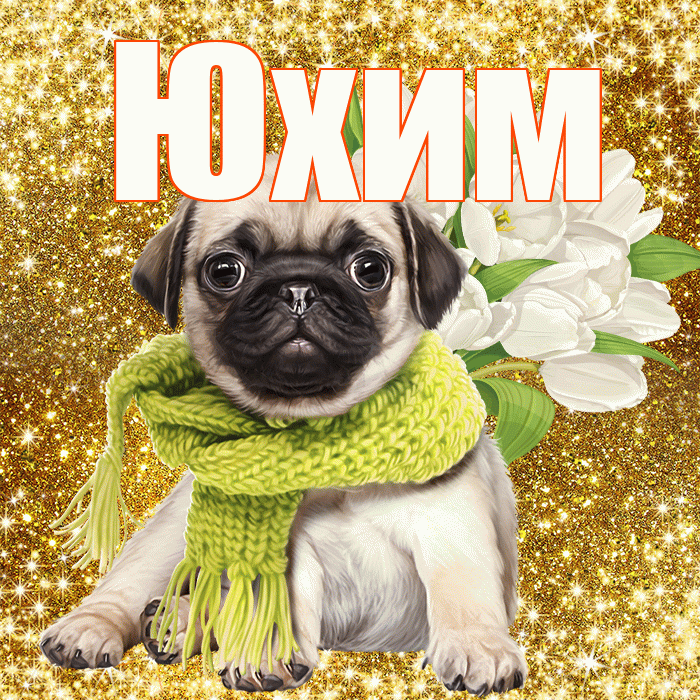 Юхим! С днем бухгалтера! Красивая открытка Юхому!