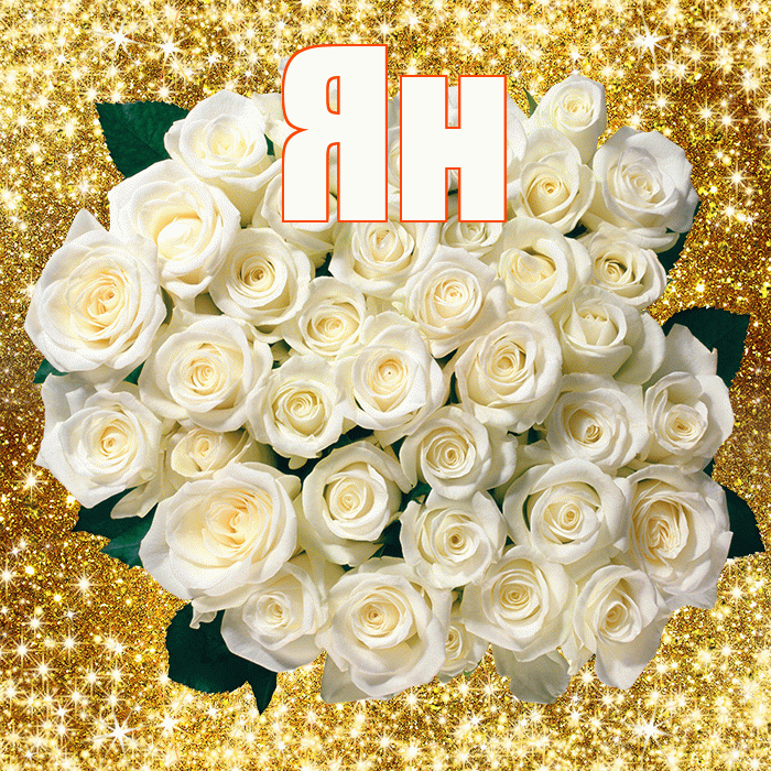 Ян! С днем бухгалтера! Красивая открытка Яну!