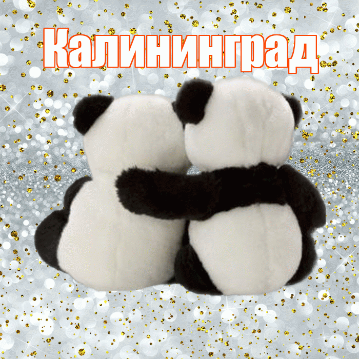 Калининград! С днём влюблённых! Красивая открытка Калининграду!
