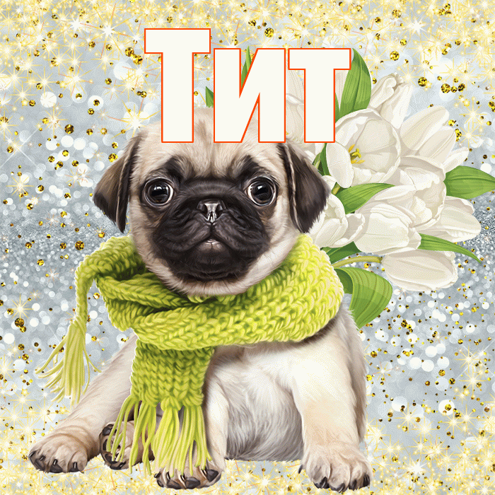 Тит! С днём матери! Красивая открытка Титу!
