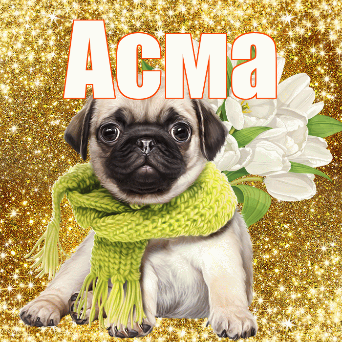 Асма! С днём медика! Красивая открытка Асме!