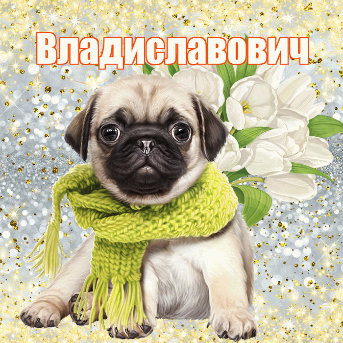 Владиславович! С днём медика! Красивая открытка Владиславовичу!