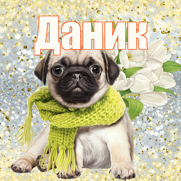 Даник! С днём медика! Красивая открытка Данику!