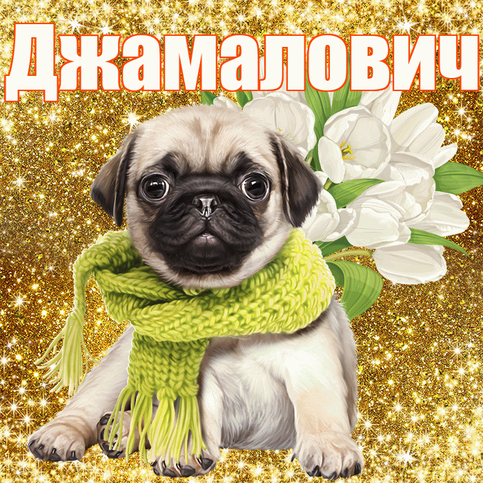 Джамалович! С днём медика! Красивая открытка Джамаловичу!