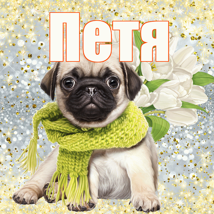 Петя! С днём медика! Красивая открытка Пете!