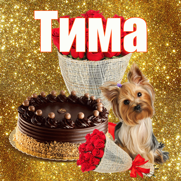 Тима! С днём медика! Красивая открытка Тиму!