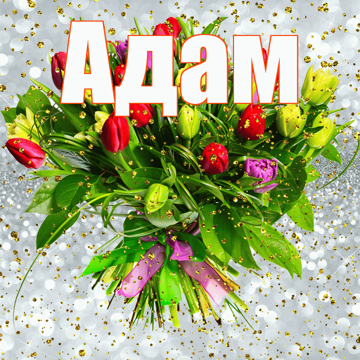 Адам! С днём рождения! Красивая открытка Адаму!