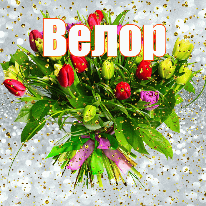Велор! С днём рождения! Красивая открытка Велоре!