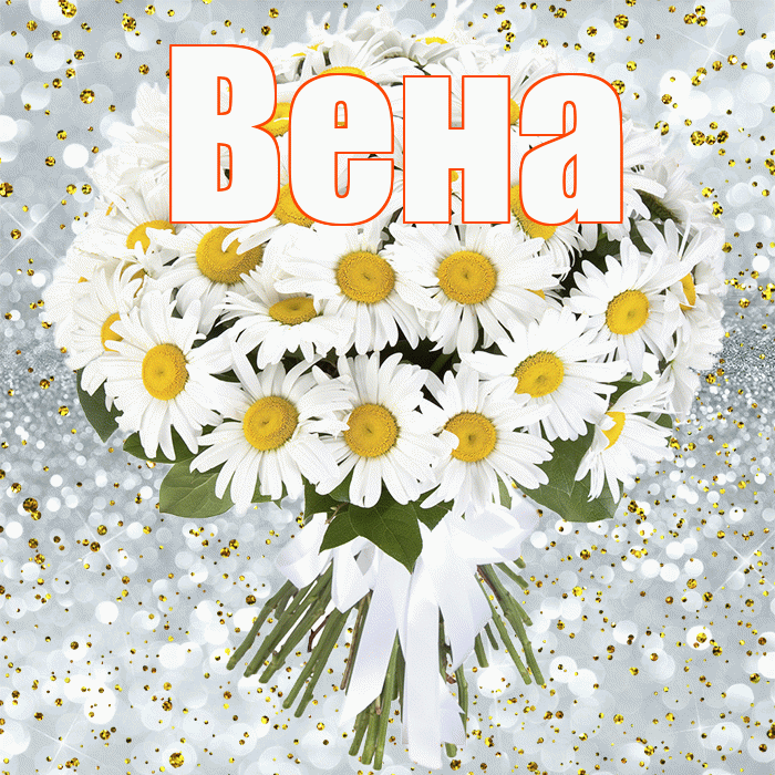 Вена! С днём рождения! Красивая открытка Вене!