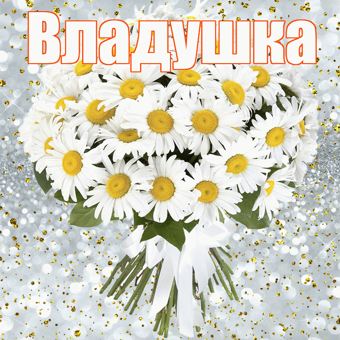 Владушка! С днём рождения! Красивая открытка !