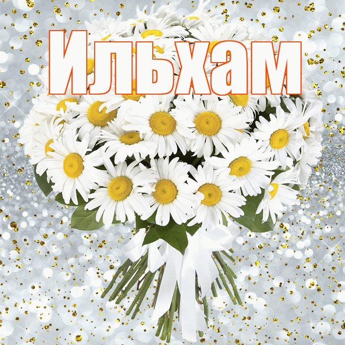 Ильхам! С днём рождения! Красивая открытка Ильхаму!
