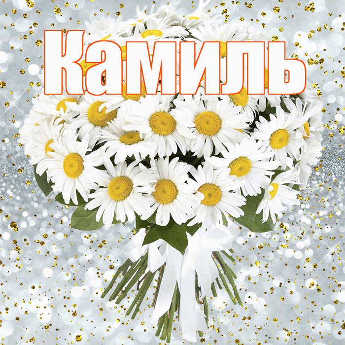 Камиль! С днём рождения! Красивая открытка Камилю!