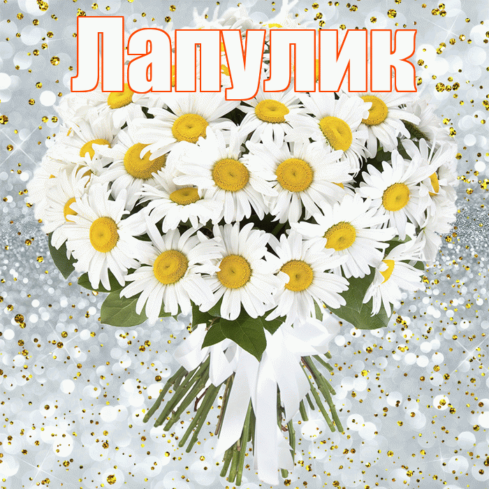 Лапулик! С днём рождения! Красивая открытка Лапулику!