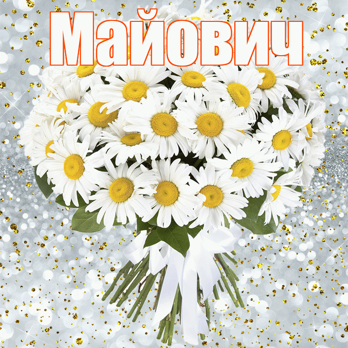 Майович! С днём рождения! Красивая открытка Майовичу!