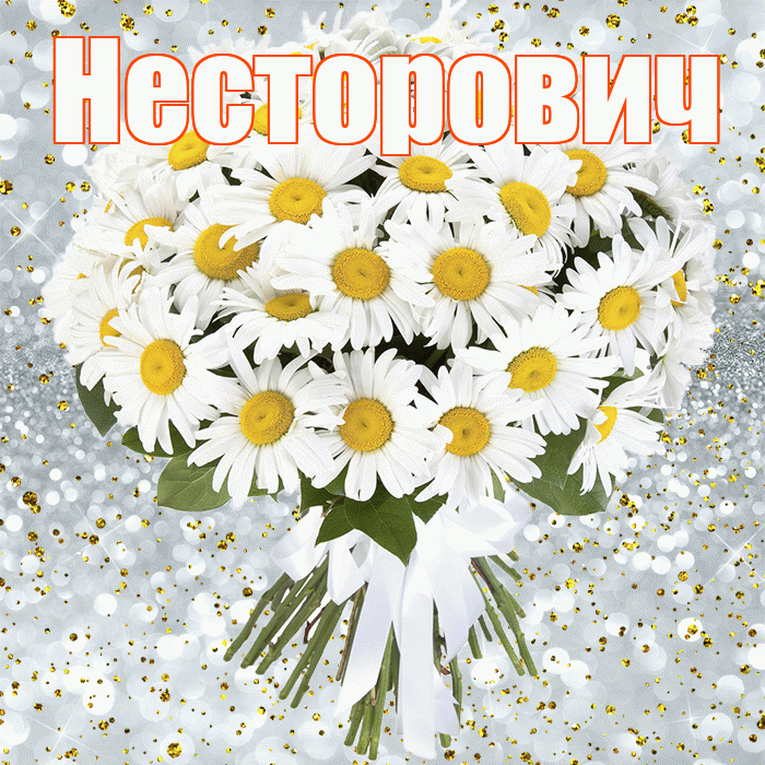 Несторович! С днём рождения! Красивая открытка Несторовичу!
