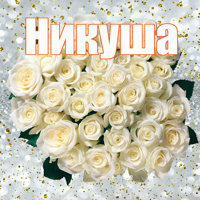 Никуша! С днём рождения! Красивая открытка !