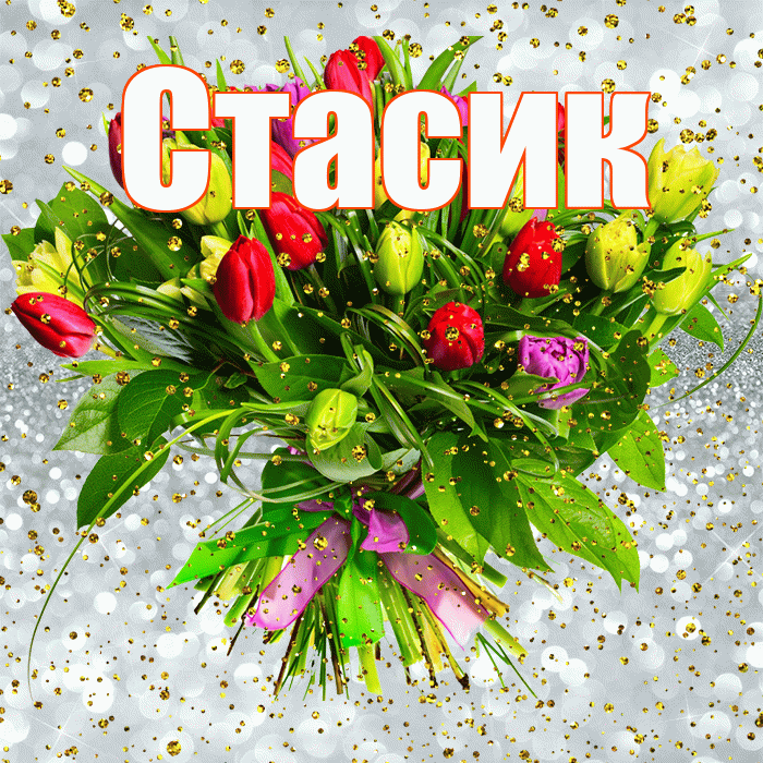 Стасик! С днём рождения! Красивая открытка !