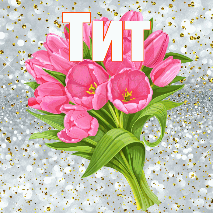 Тит! С днём рождения! Красивая открытка Титу!
