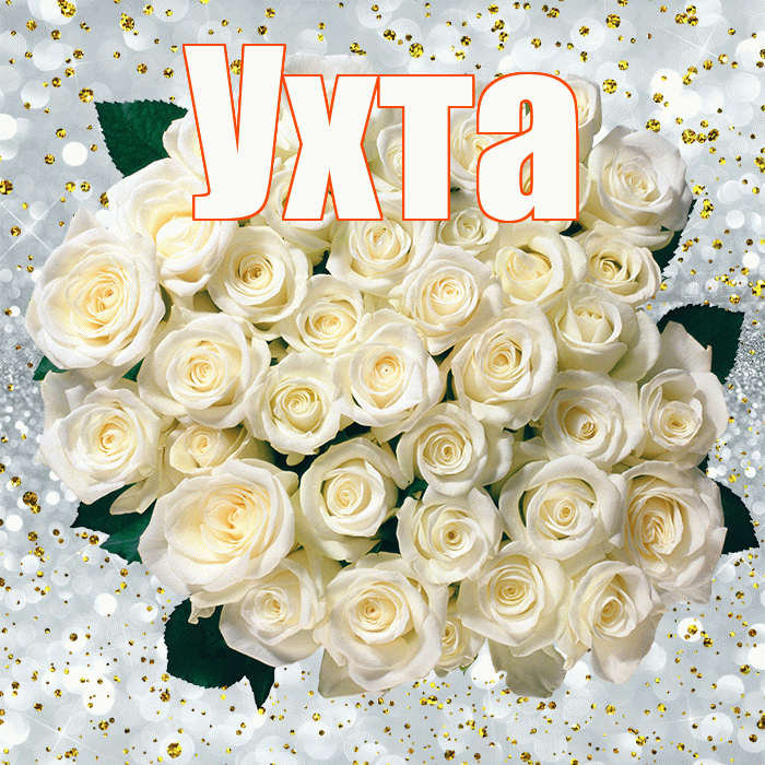 Ухта! С днём рождения! Красивая открытка Ухте!