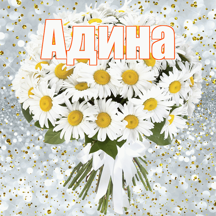 Адина