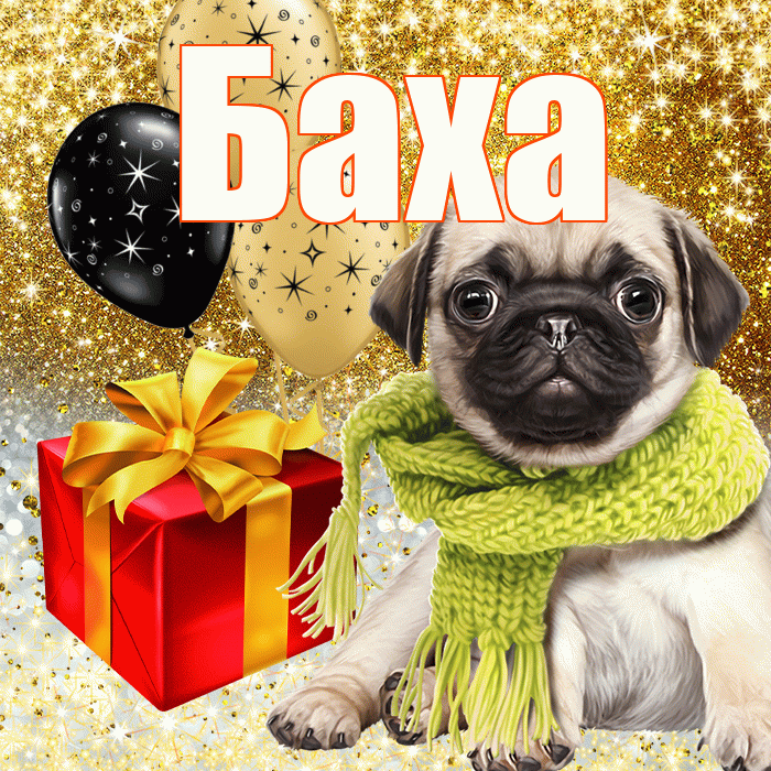 Баха