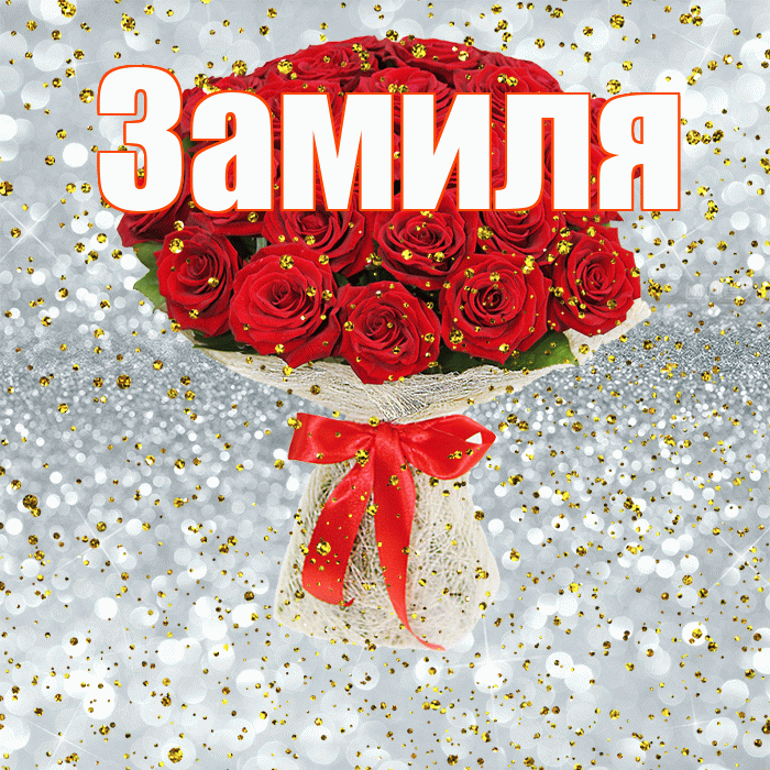 Замиля