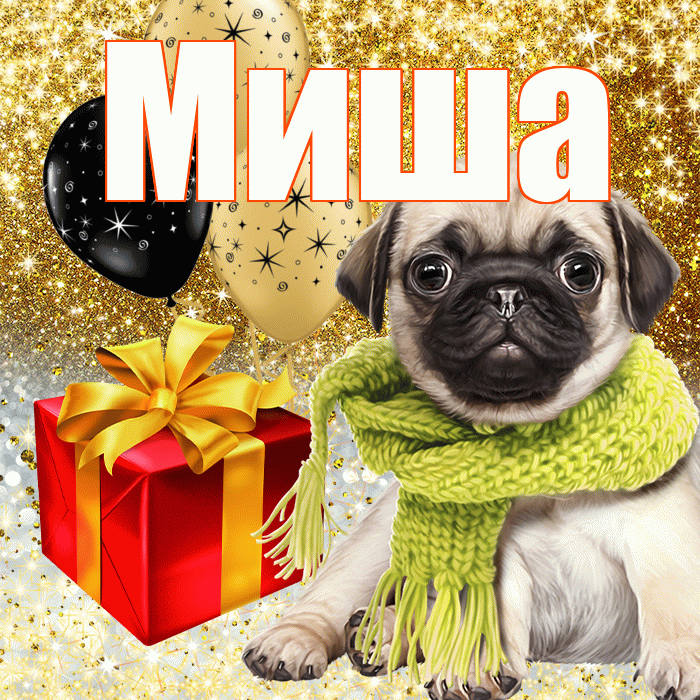 Миша