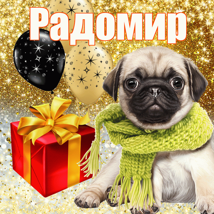 Радомир