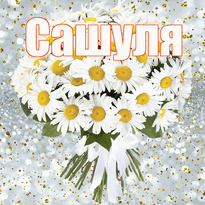 Сашуля