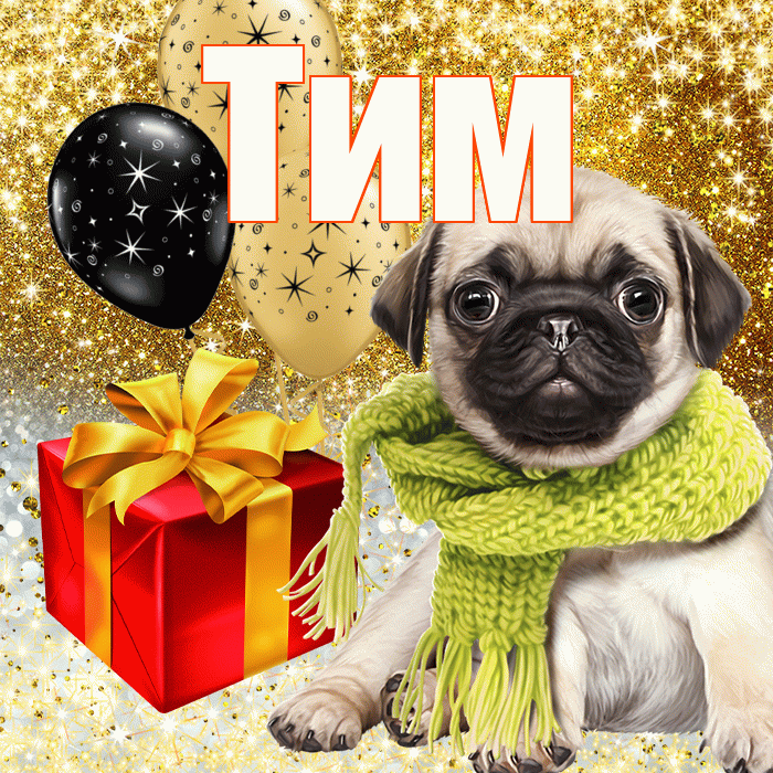 Тим