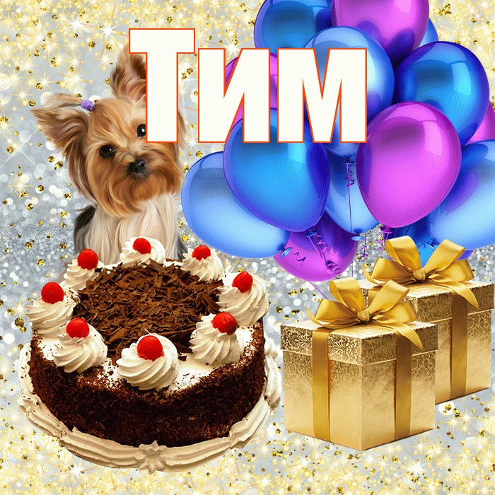 Тим