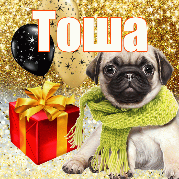 Тоша