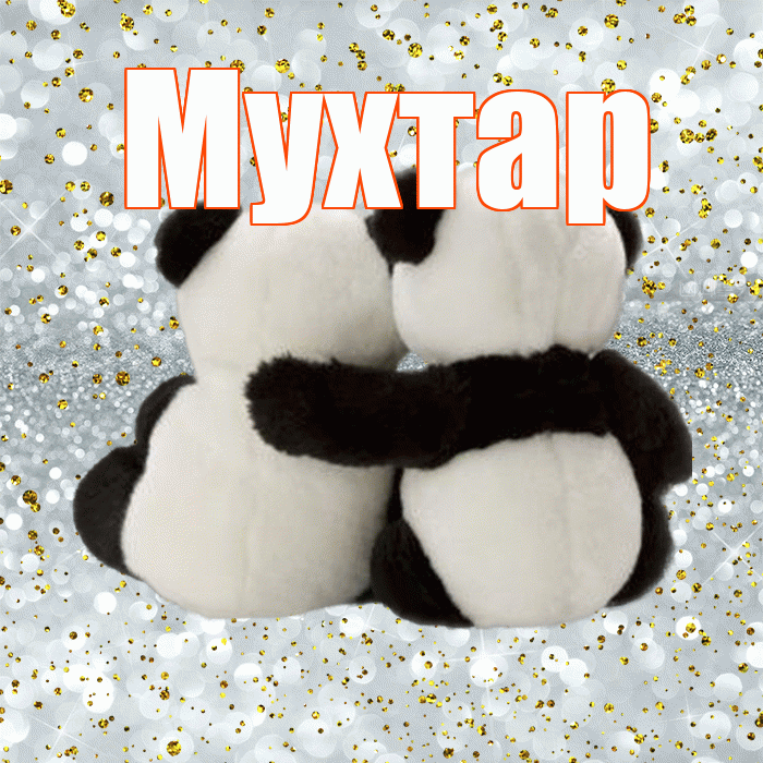 Мухтар! С днем святого Валентина! Красивая открытка Мухтару!