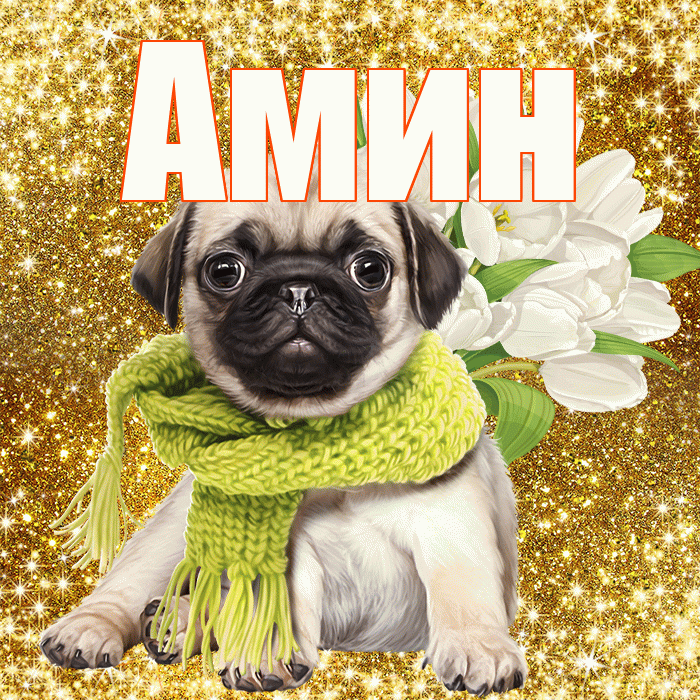 Амин! С днём счастья! Красивая открытка Амину!