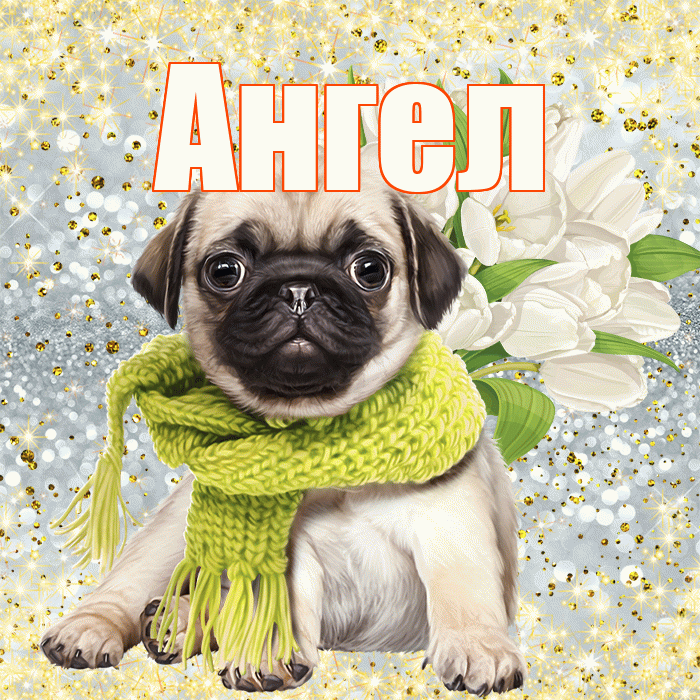 Ангел! С днём счастья! Красивая открытка Ангелу!