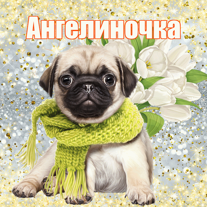 Ангелиночка! С днём счастья! Красивая открытка !