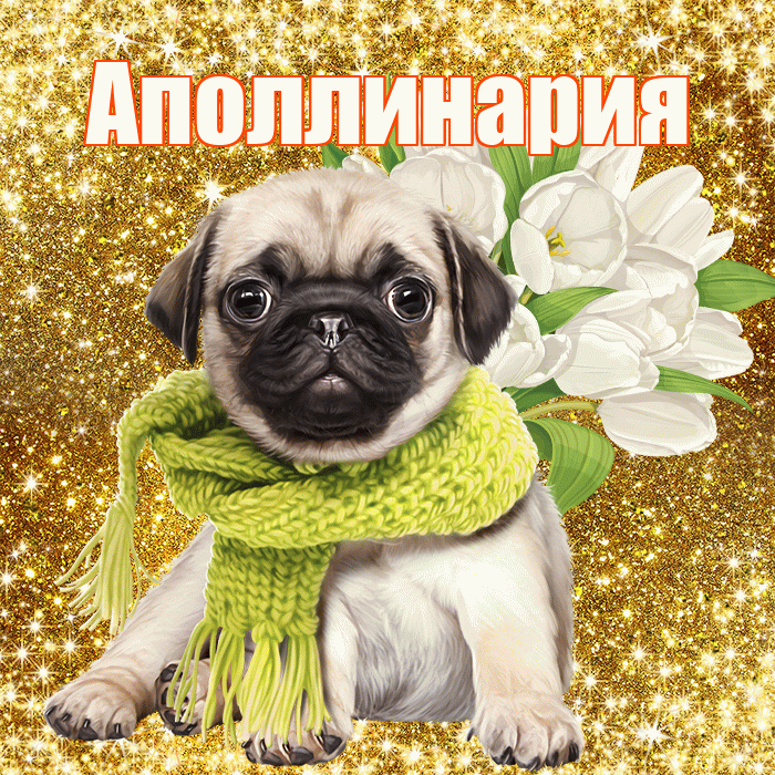 Аполлинария! С днём счастья! Красивая открытка Аполлинарию!