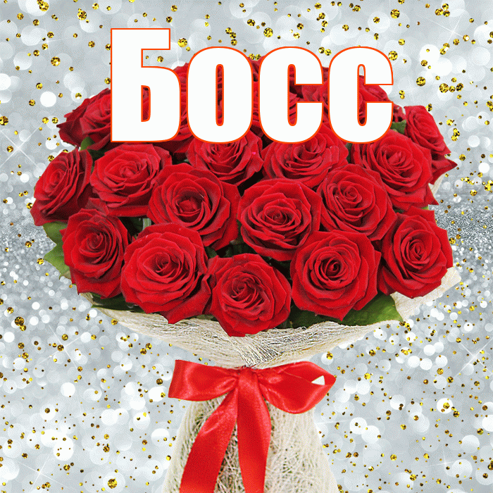 Босс! С днём счастья! Красивая открытка Боссу!