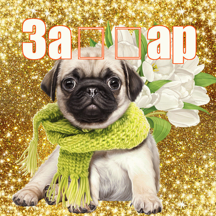 За ар! С днём счастья! Красивая открытка !