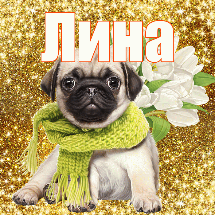 Лина! С днём счастья! Красивая открытка Лине!