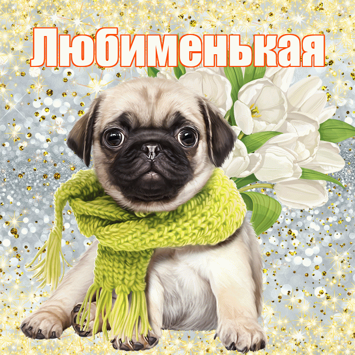 Любименькая! С днём счастья! Красивая открытка !