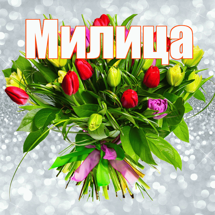 Милица! С днём счастья! Красивая открытка Милице!